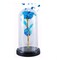 Preserved Rose in Glass Dome with LED Lights Elegant Gift Décor